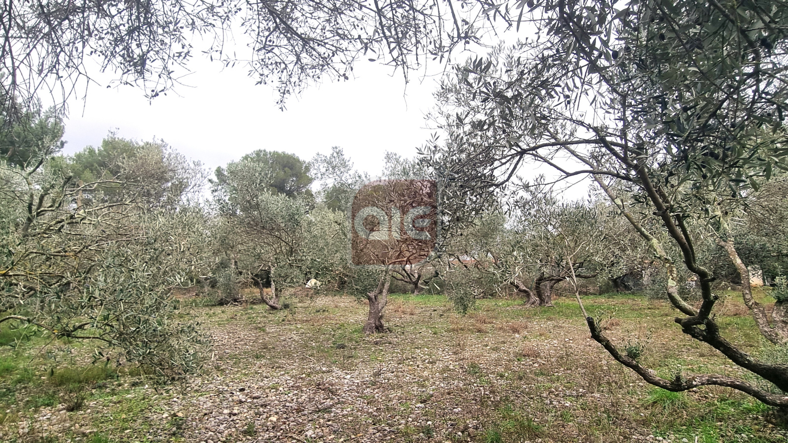 Image_, Terrain à batir, Montferrier-sur-Lez, ref :4153