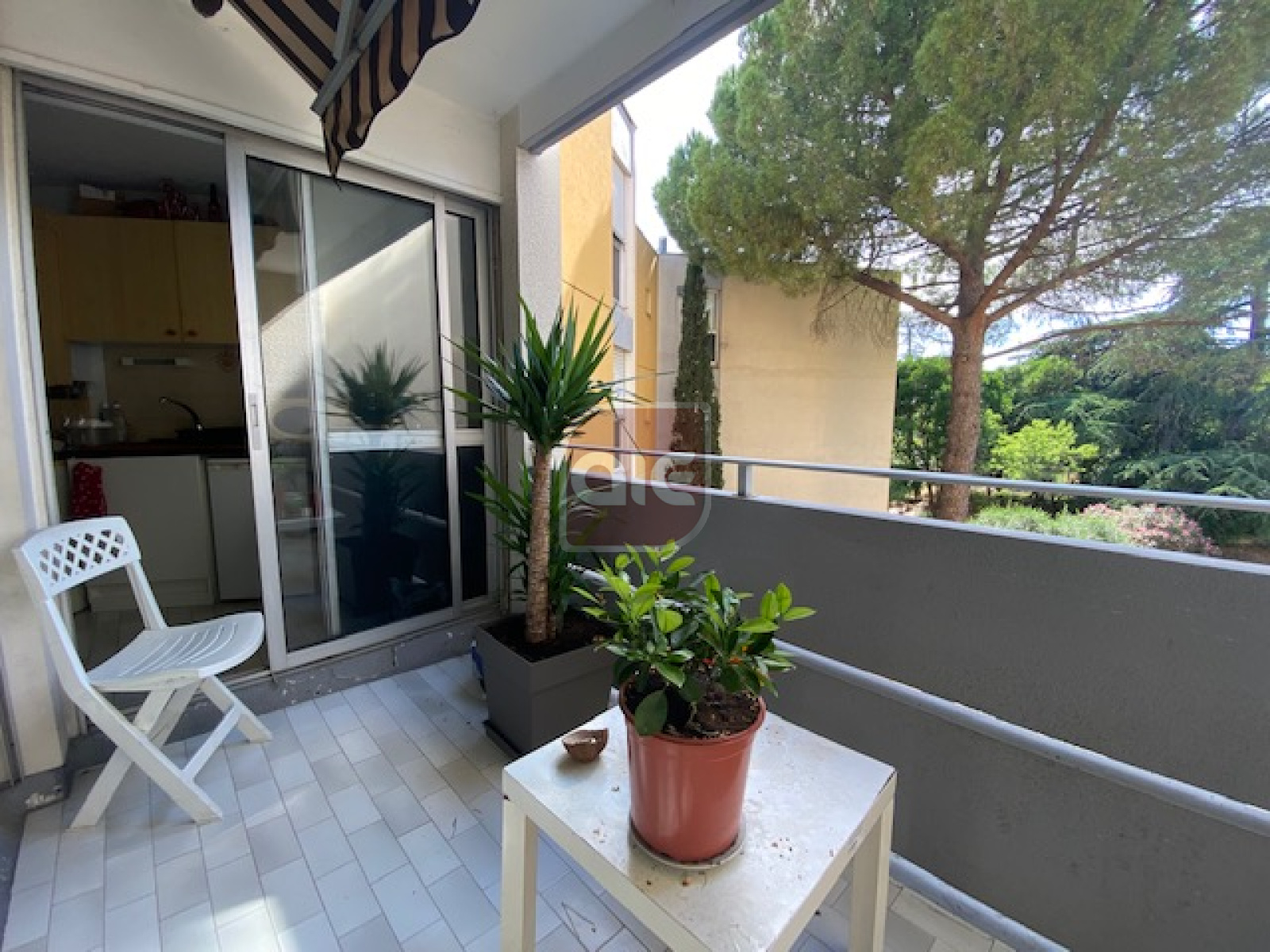 Image_, Appartement, Montpellier, ref :4216