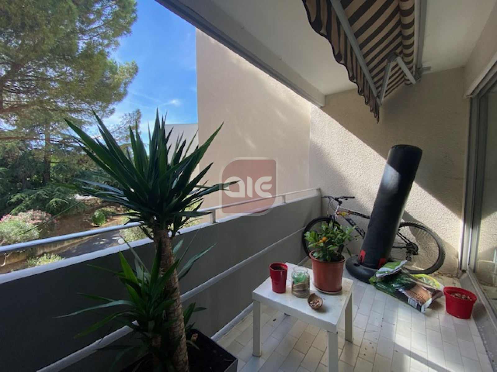 Image_, Appartement, Montpellier, ref :4216