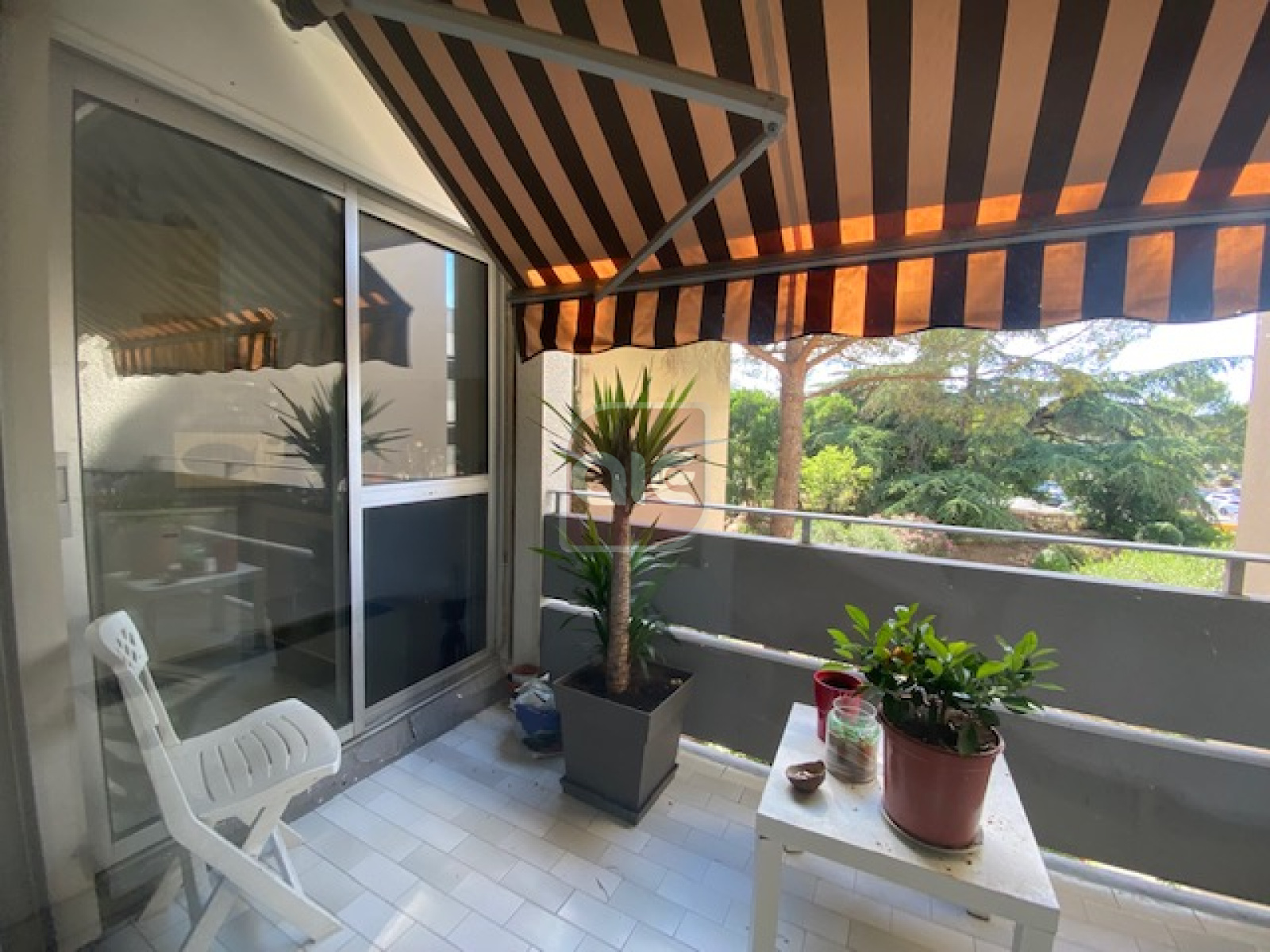 Image_, Appartement, Montpellier, ref :4216
