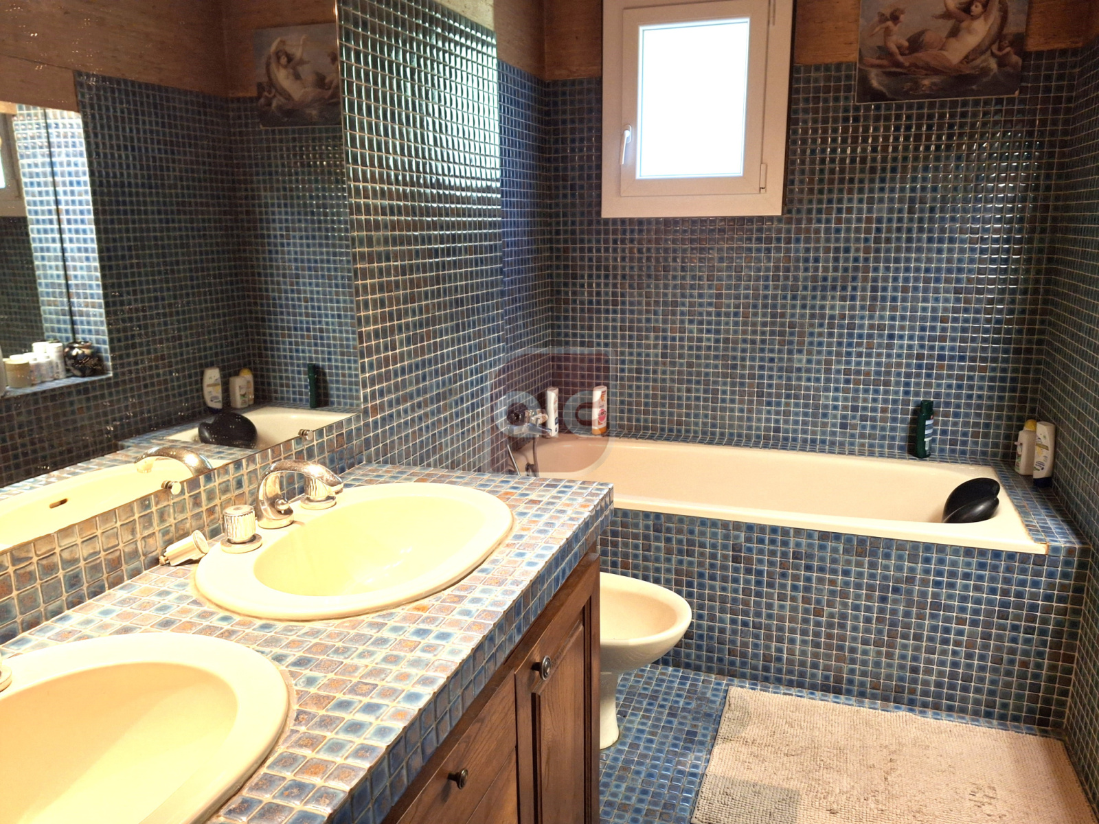 Image_, Villa, Montferrier-sur-Lez, ref :883