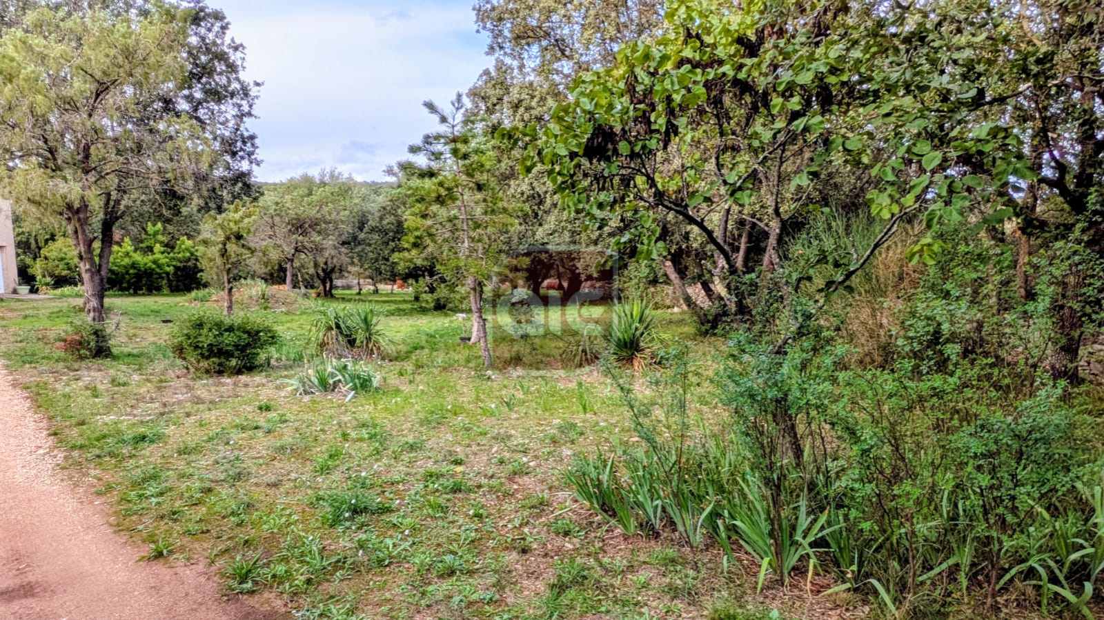 Image_, Villa, Argelliers, ref :4254