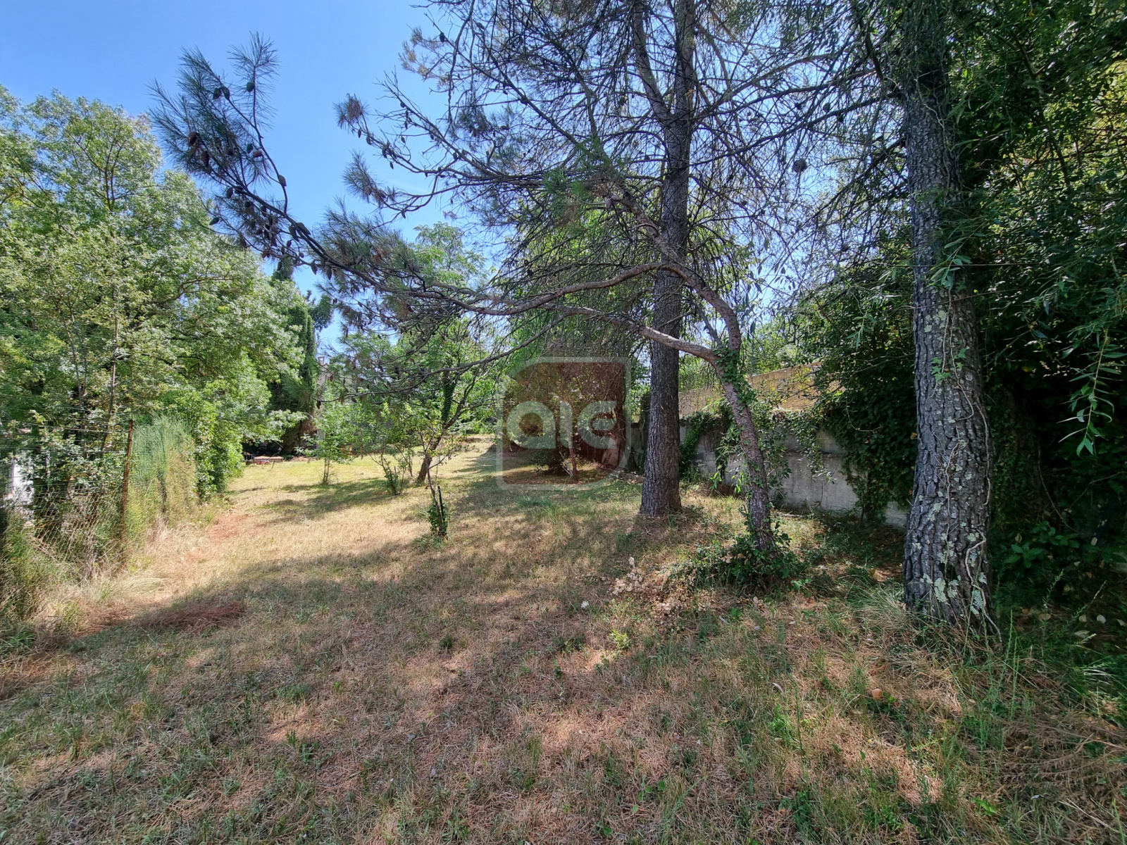 Image_, Terrain, Montferrier-sur-Lez, ref :821
