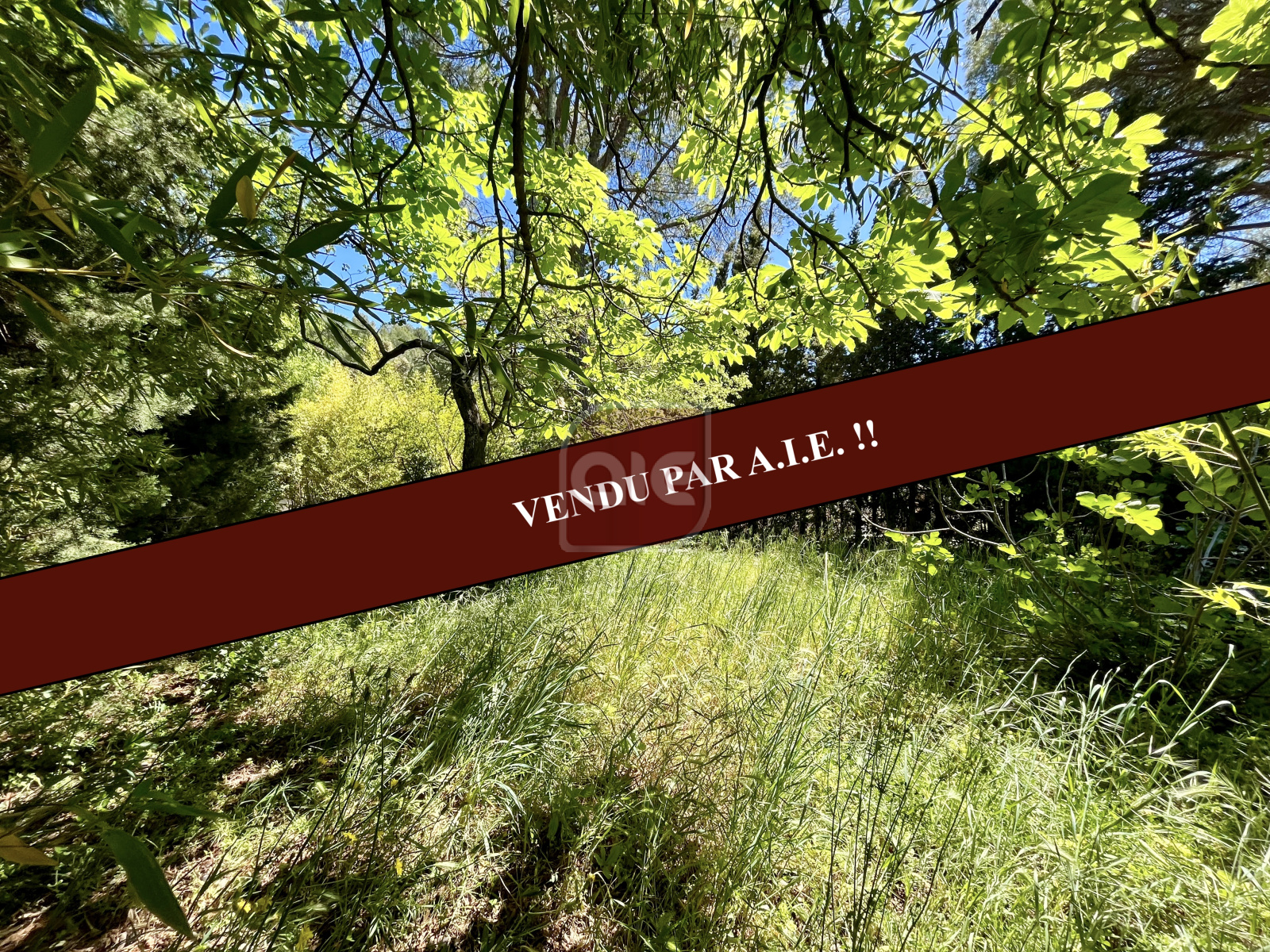 Image_, Terrain, Prades-le-Lez, ref :3885
