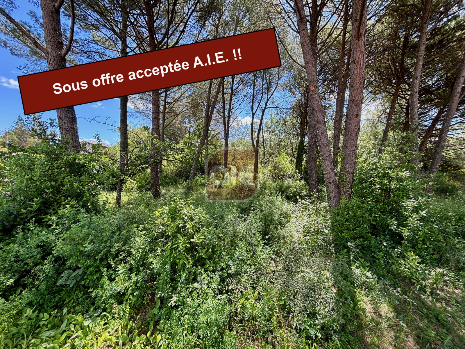 Image_, Terrain, Prades-le-Lez, ref :4005