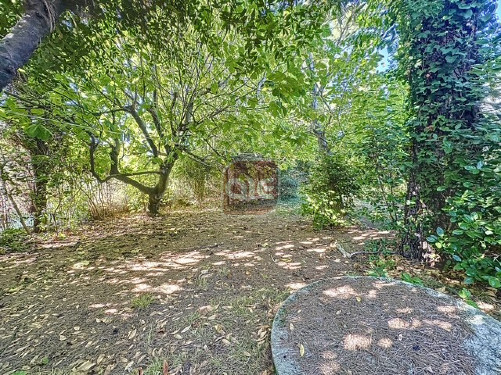 Image_, Villa, Montferrier-sur-Lez, ref :05