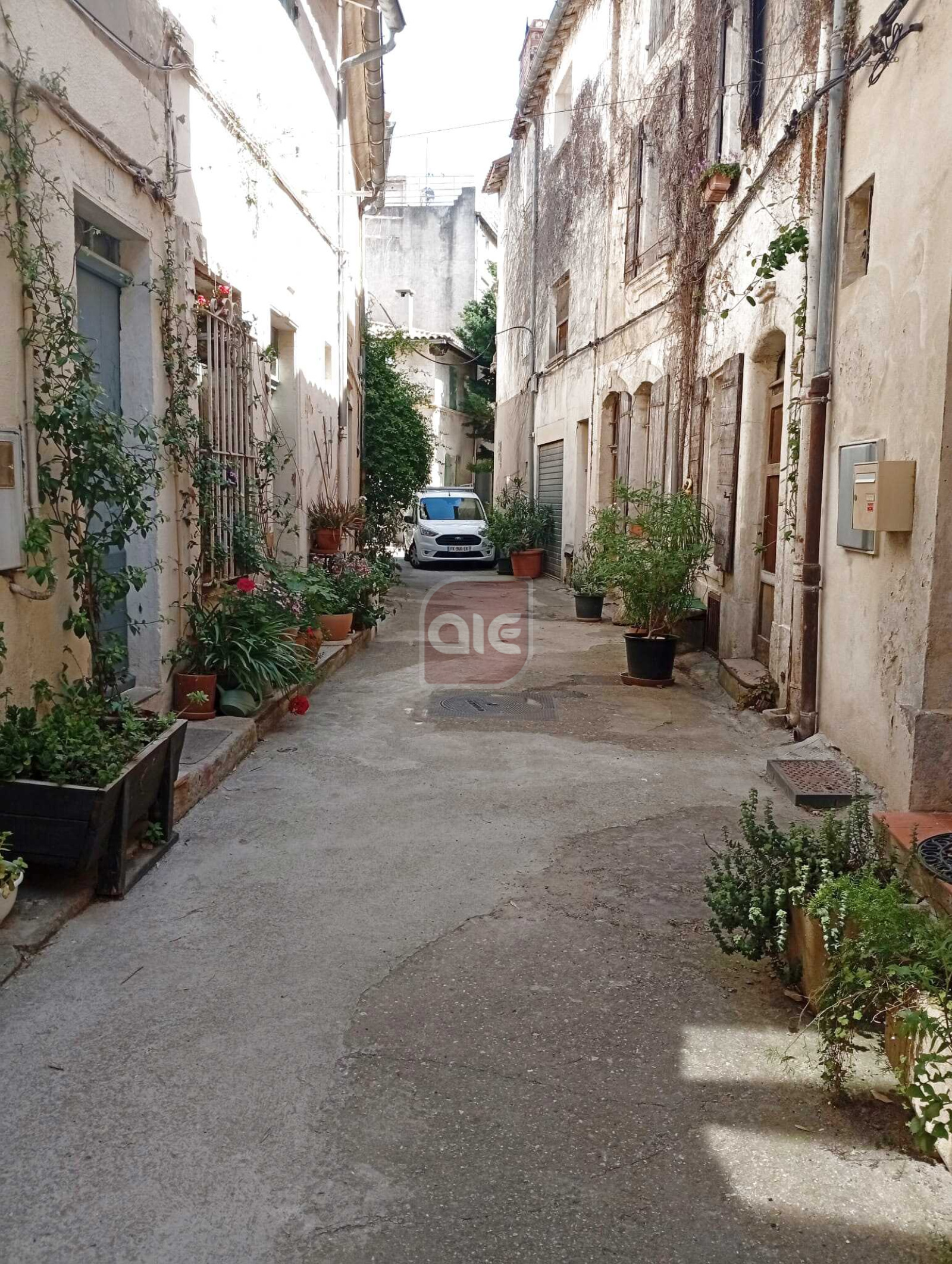 Image_, Triplex, Arles, ref :543