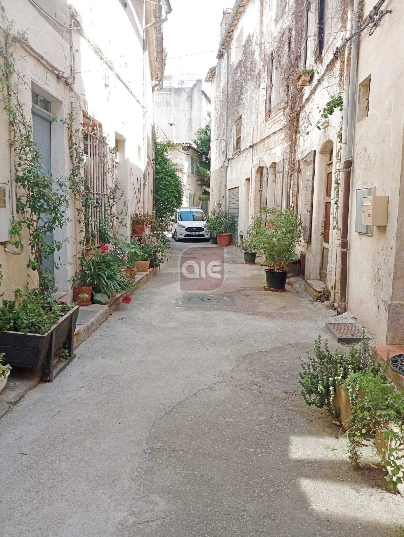 Image_, Triplex, Arles, ref :543