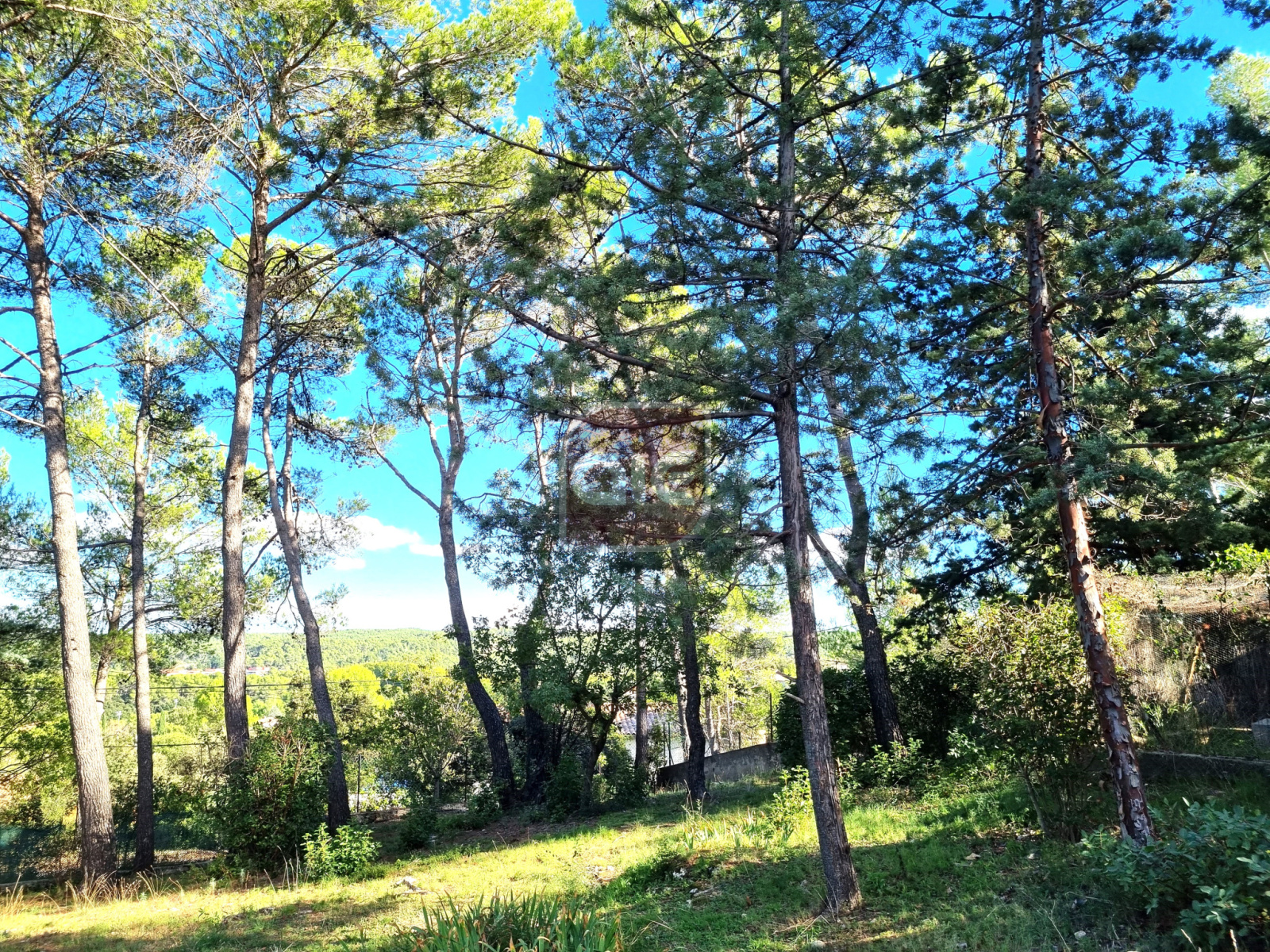 Image_, Villa, Montferrier-sur-Lez, ref :829