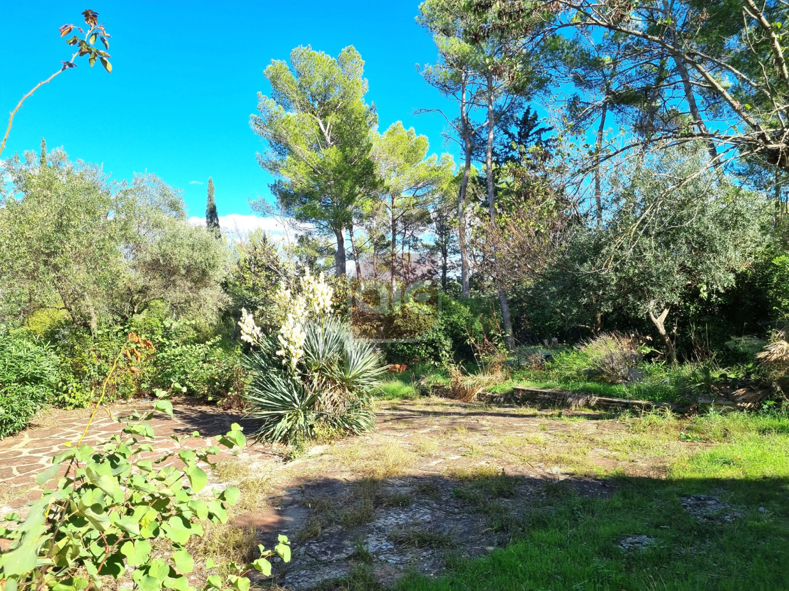 Image_, Villa, Montferrier-sur-Lez, ref :829