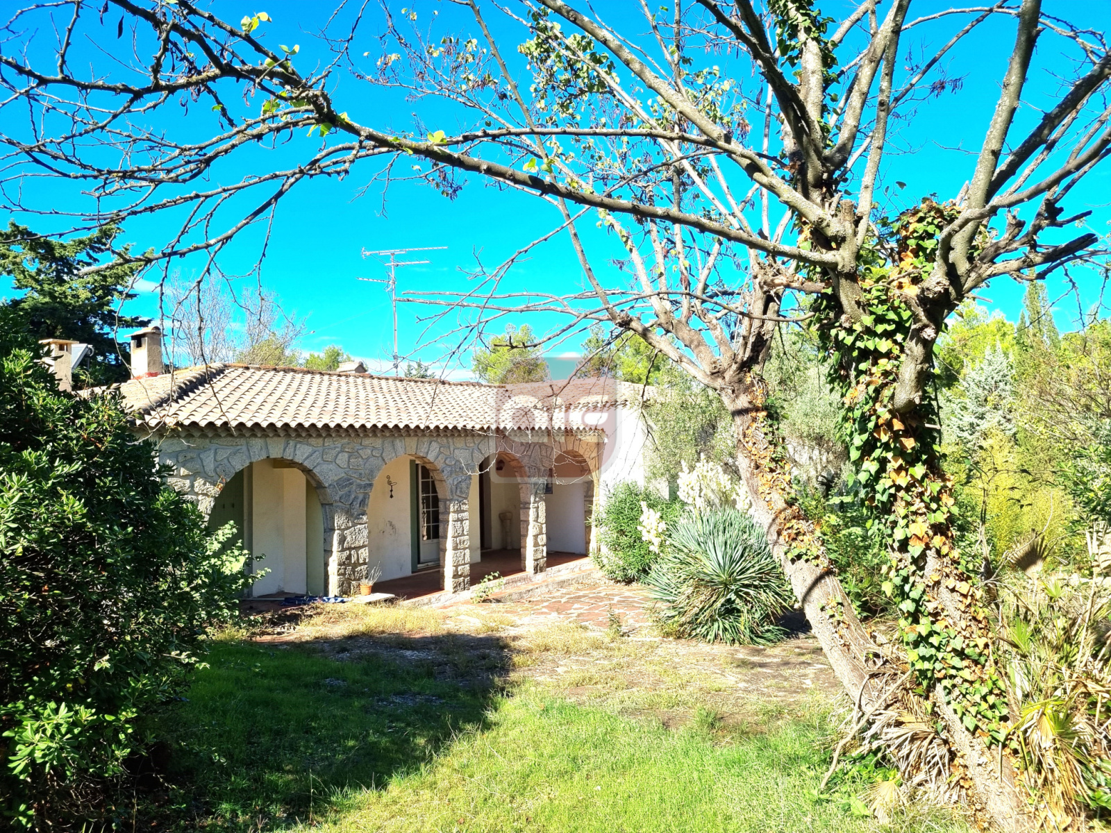 Image_, Villa, Montferrier-sur-Lez, ref :829