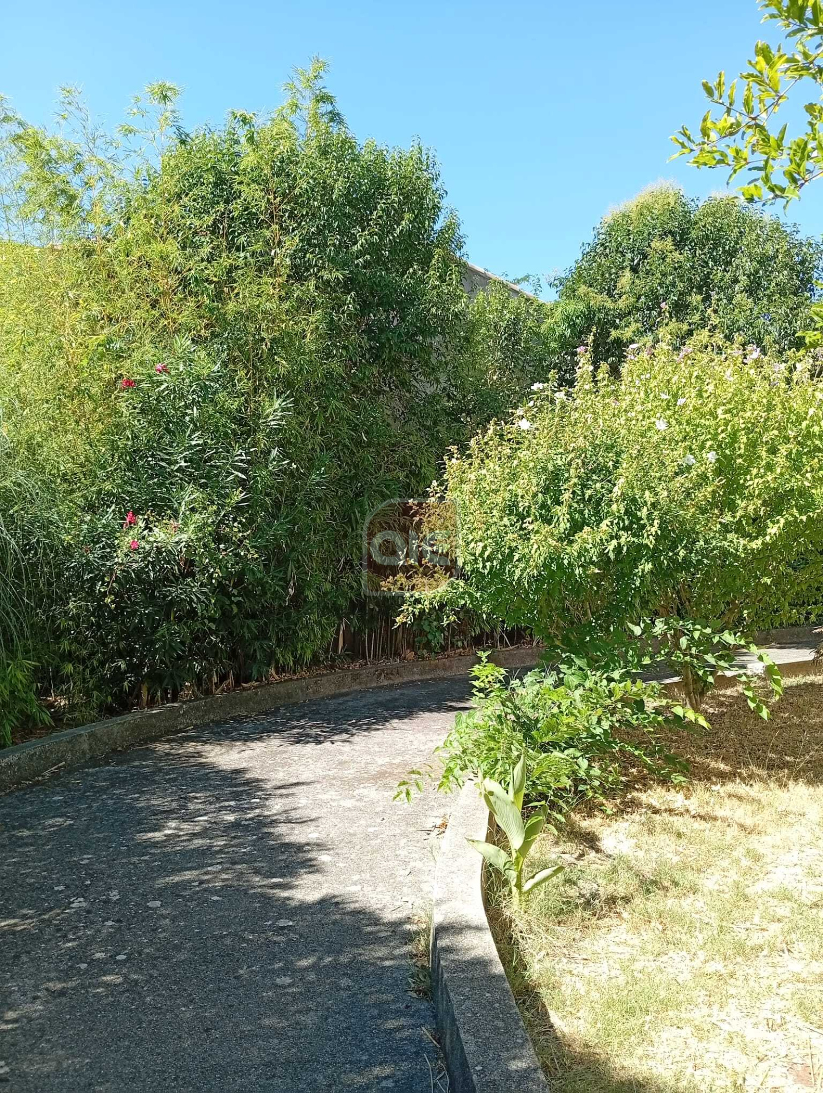 Image_, Appartement, Montpellier, ref :545