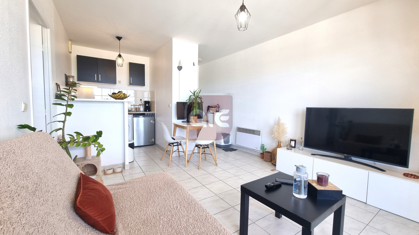 Image_, Appartement, Montpellier, ref :886