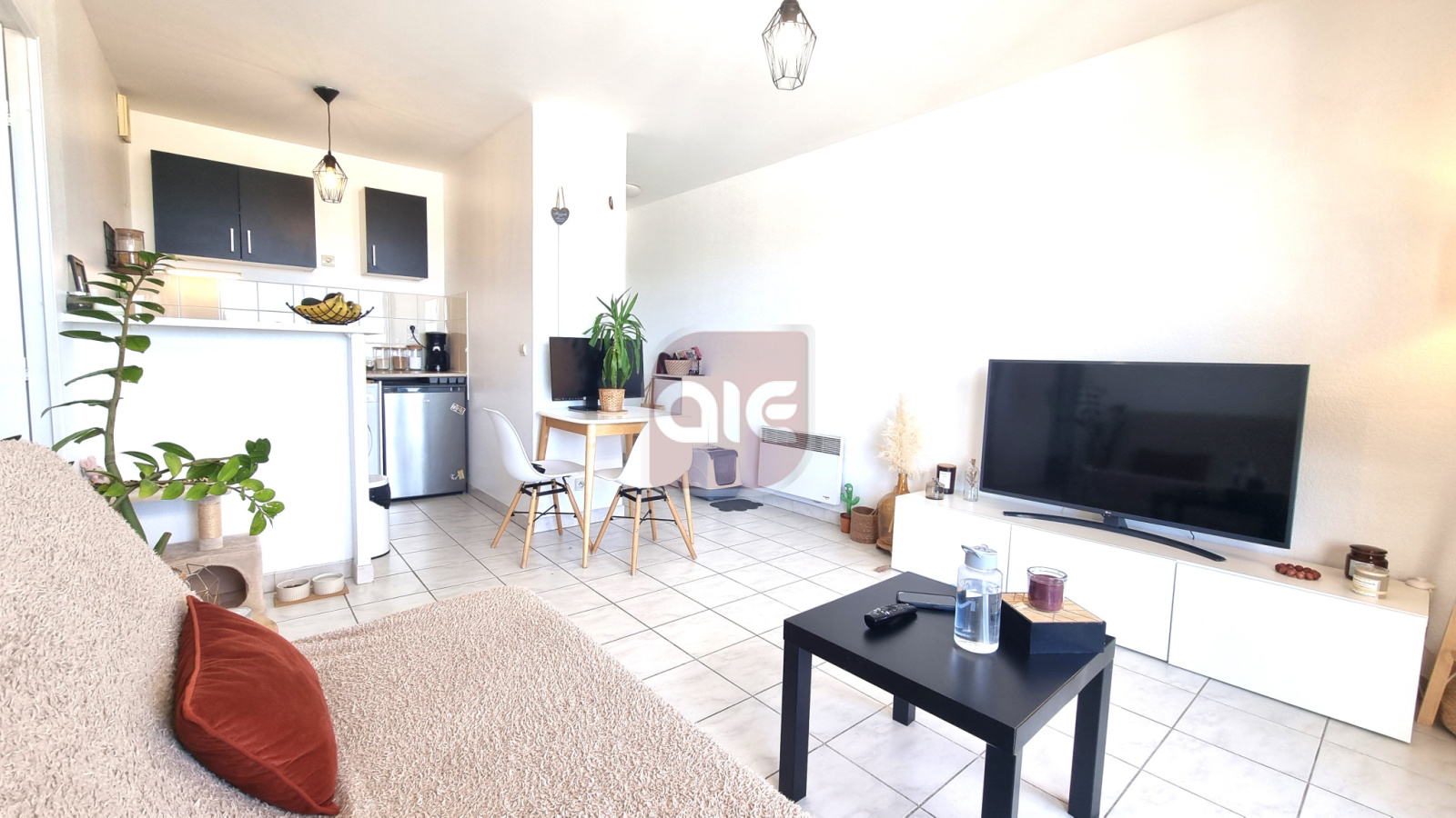 Image_, Appartement, Montpellier, ref :886
